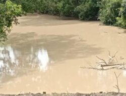 Diduga ulah Mafia Tambang Emas ilegal wilayah Hukum Kabupaten Bungo,Sudah Cemari Aliran Sungai Wilayah Hukum Kabupaten Tebo