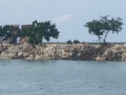 Di Duga Timbunan Untuk Proyek Marina Wakatobi Dari KSPN, Jadi Santapan Para Mafia