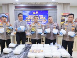 Kapolda Sulsel Pimpin Press Release Terkait Keberhasilan Satreskoba Polres Barru Ungkap 30 Kg Ganja