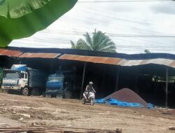 Diminta APH Tindak Tegas Lokasi Mafia Penampungan Inti Kelapa Sawit Ilegal
