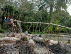 Dua Set Peti Di Mentawak Tidak Tersentuh Hukum 
