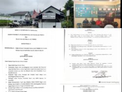 Masyarakat Malalak Timur Keluhkan Pencurian Kulit Kayu Manis Hasil Kebun
