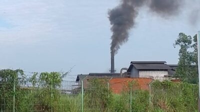 Warga Mengeluhkan Abu Pembakaran PT. PSJ yang Mengotori Rumah