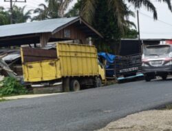 Diduga Pengusaha Penampungan Kayu Alam Di Tebo Ilir Kebal Hukum