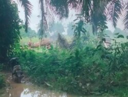 Diduga Aktivitas PETI Milik Emong Dan Oknum Aparat Masih Bebas Beroperasi