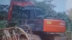 Diduga adik Mantan Kepala Desa Peninjauan Samlawi yaitu Samsul Bahri Telah Menjual Lahan Kawasan Hutan EX PT.LKU