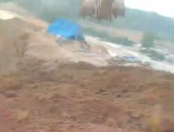 Bos Tambang Emas ilegal Inisial IB Sungai Arang Semakin Sukses Tidak Hiraukan Kapolres Bungo dan Kapolda Jambi