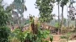 Diduga Peti di Belakang Pasar Rantau Embacang Meresahkan Warga Air Sungai Batang Tebo Tercemar