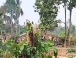 Diduga Peti di Belakang Pasar Rantau Embacang Meresahkan Warga Air Sungai Batang Tebo Tercemar